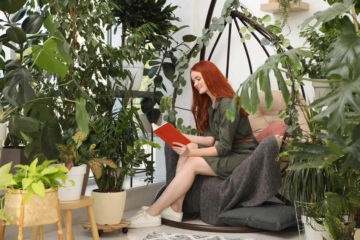Indoor Nature Lounge